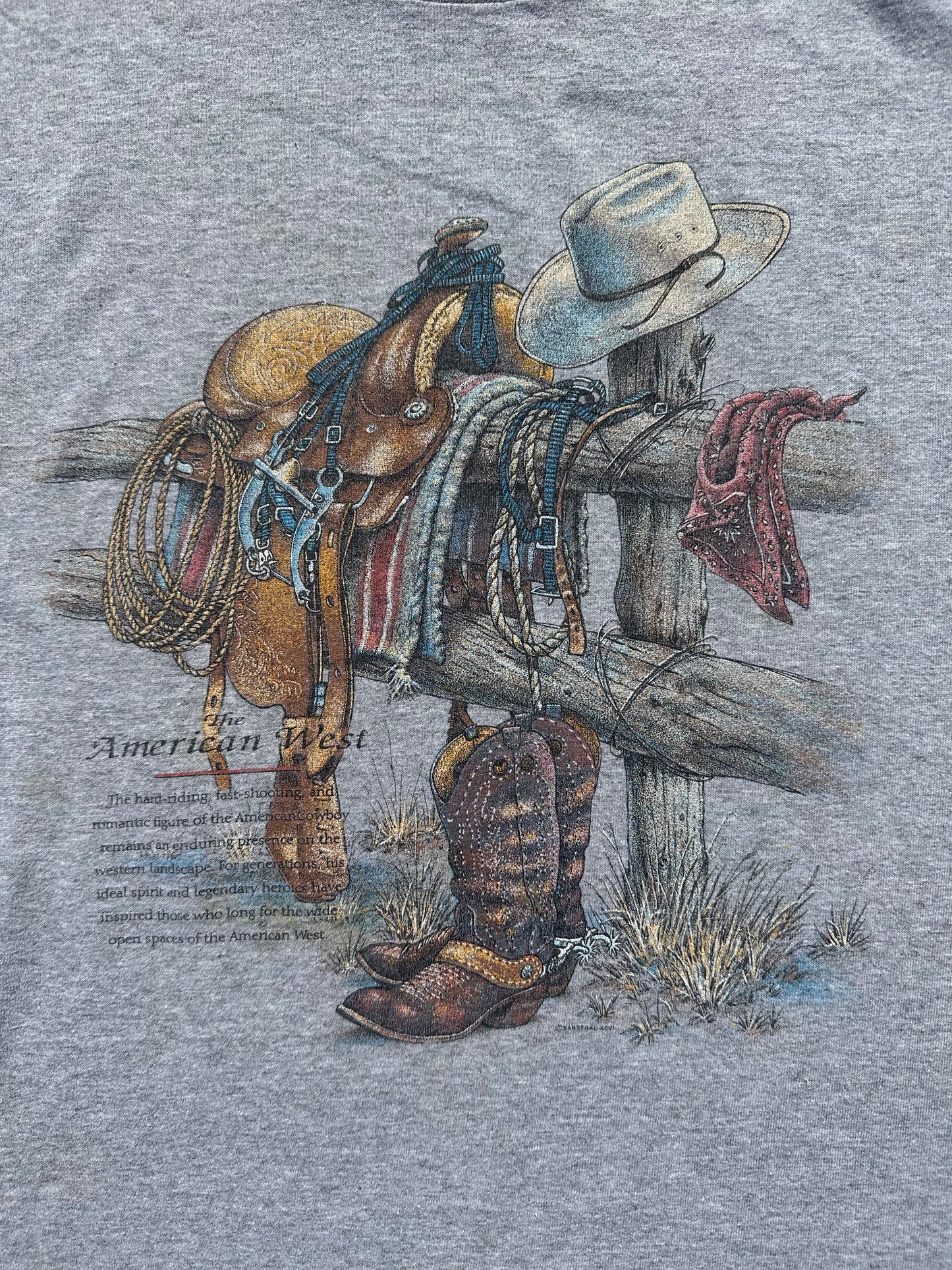 Y2K Wyoming Cowboy T-Shirt