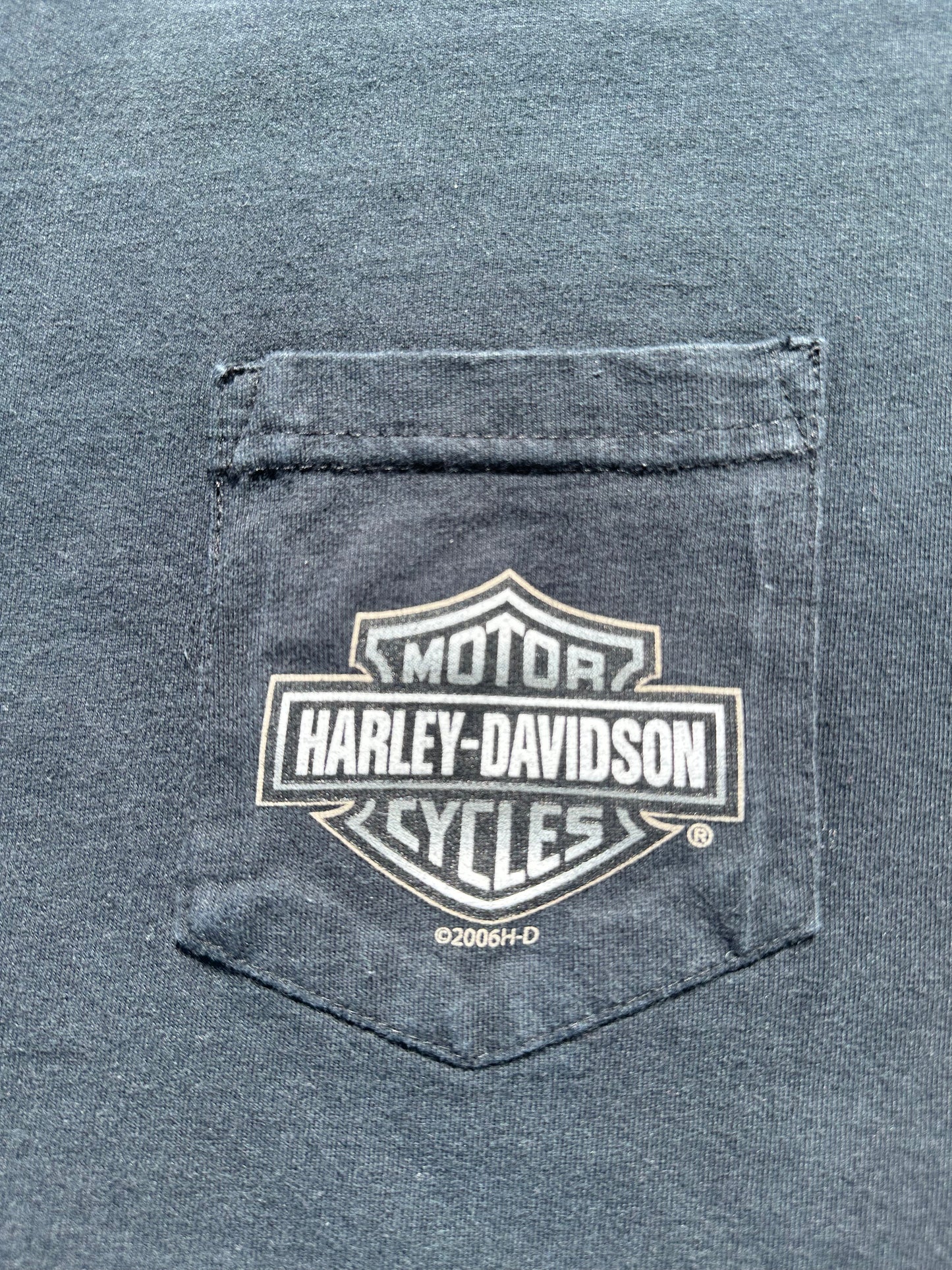2006 Harley Davidson Cut Off