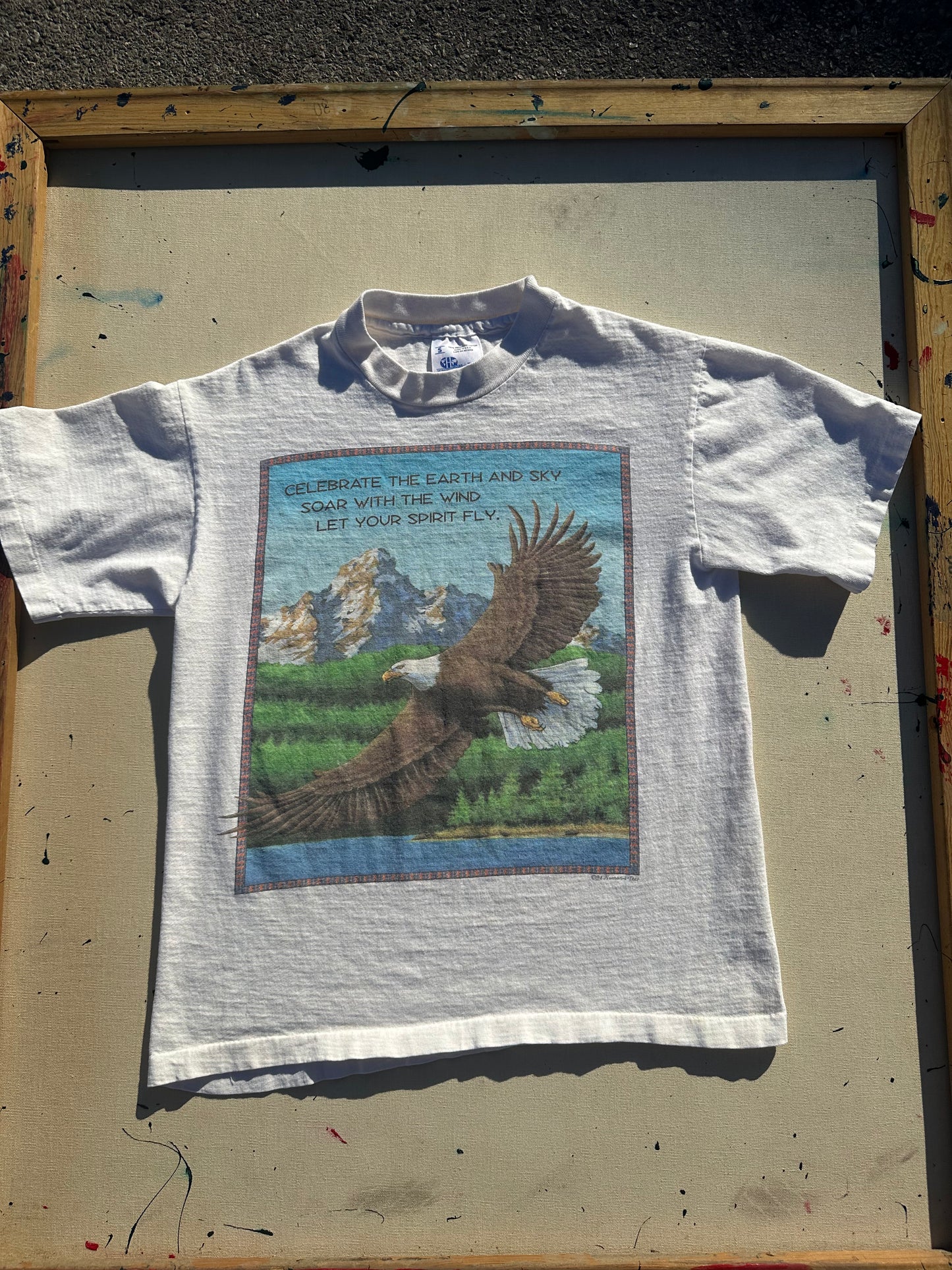 Vintage Soaring Eagle T-Shirt