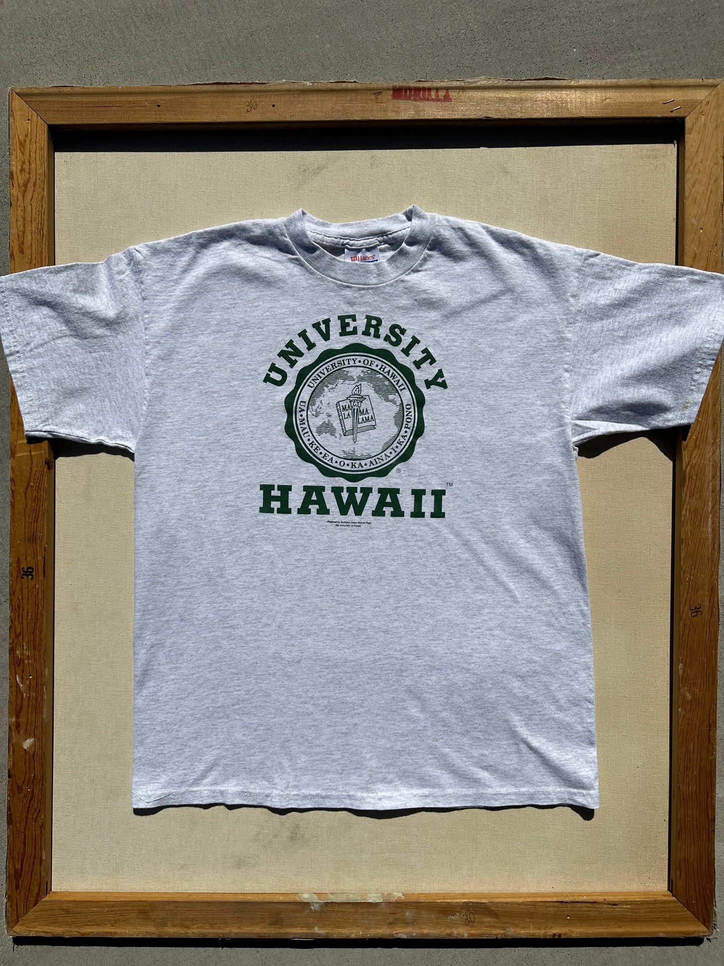 University of Hawaii T-Shirt