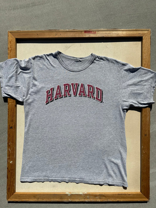 Harvard Champion T-Shirt