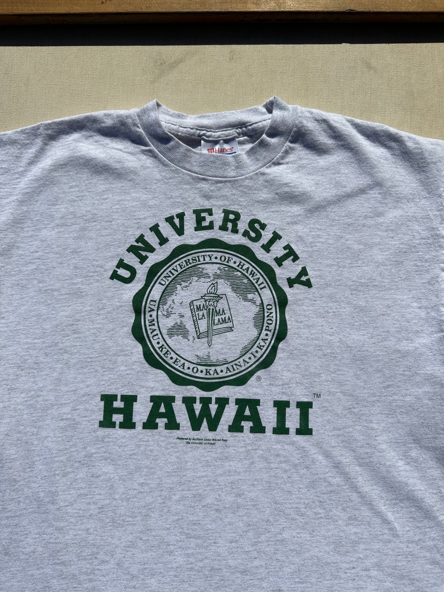 University of Hawaii T-Shirt