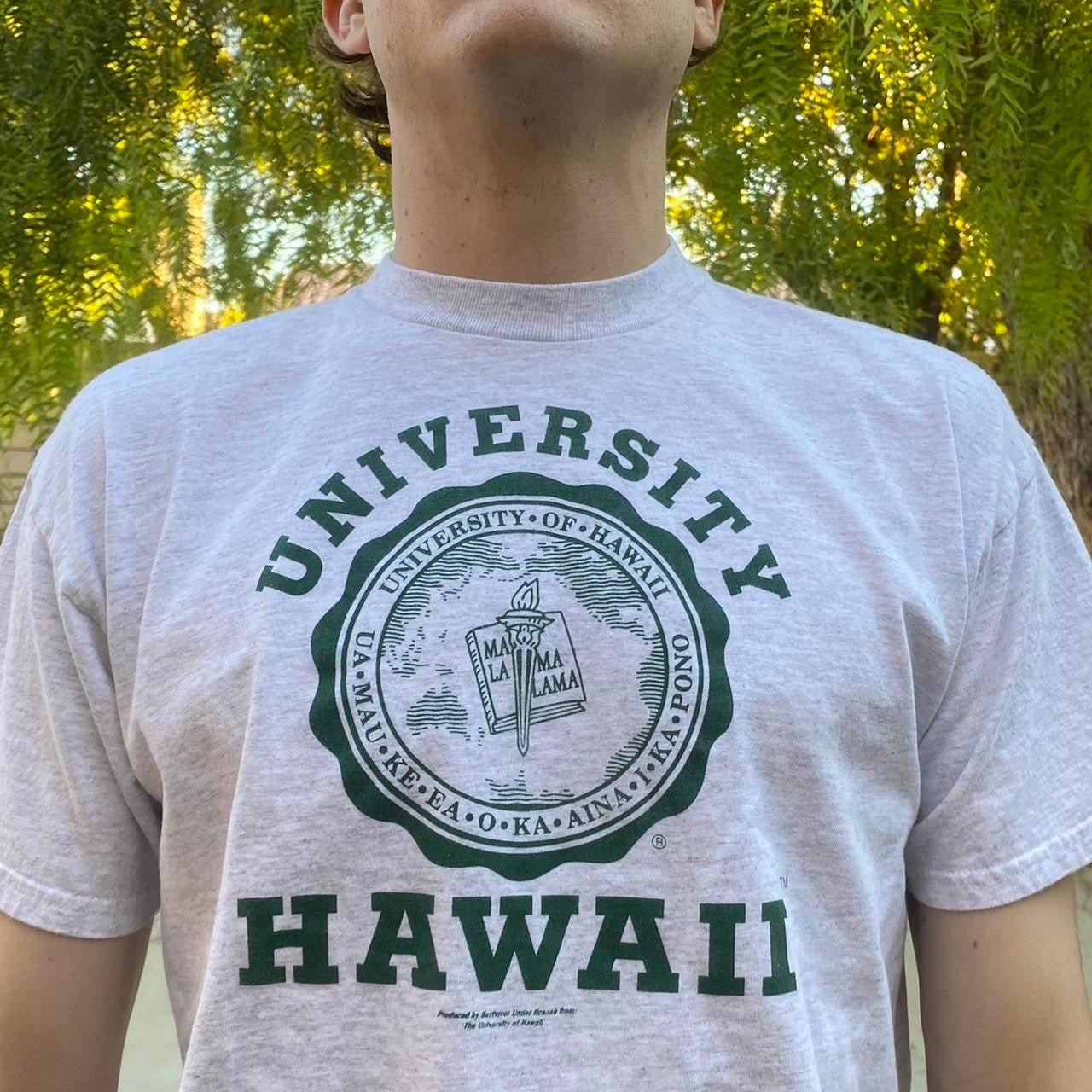 University of Hawaii T-Shirt